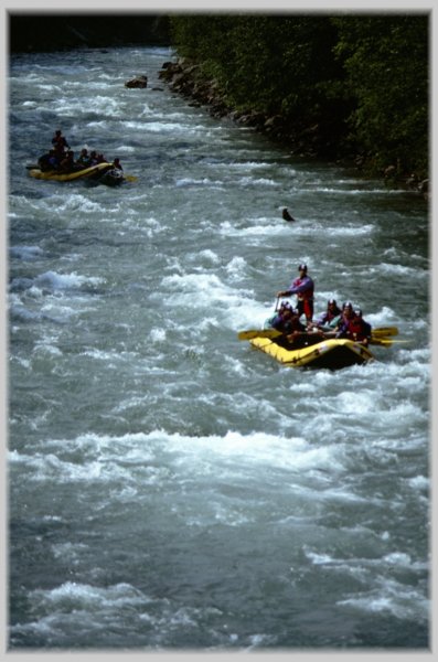 1989_rafting_27.jpg