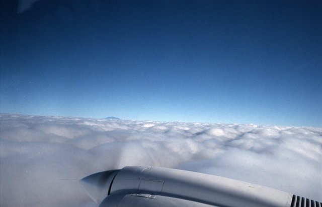 06-flugsafari_dd.jpg