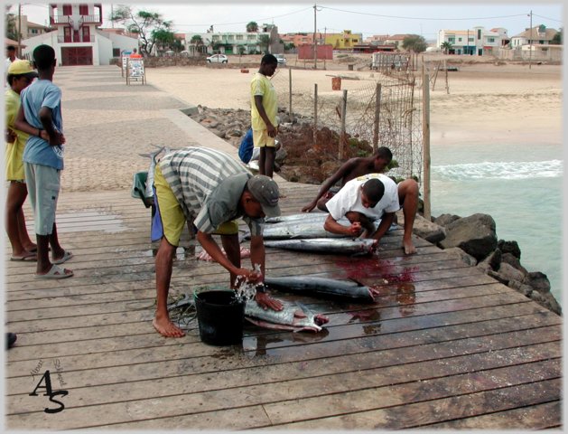 Urlaub 2007
