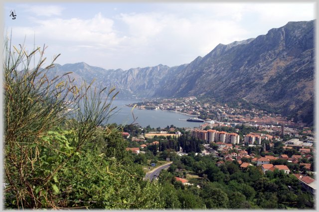 Kotor