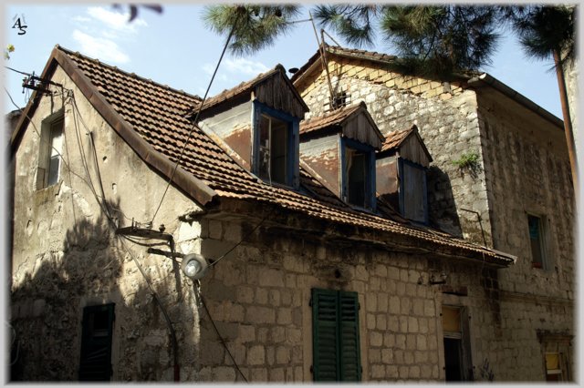 Kotor
