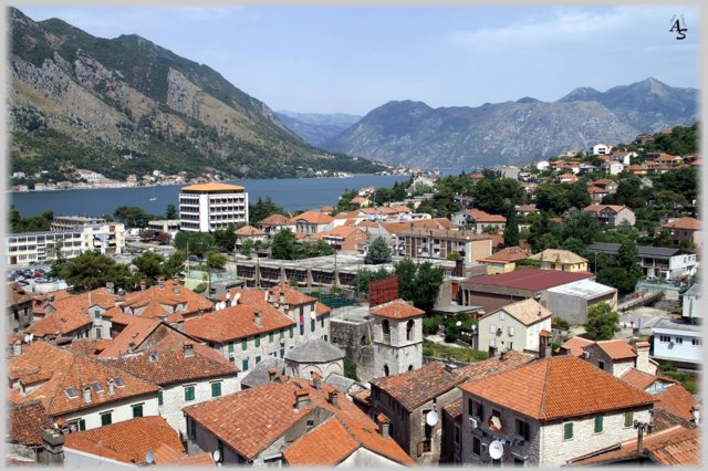Kotor