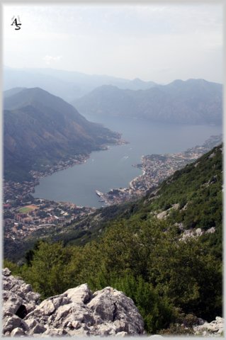 Kotor