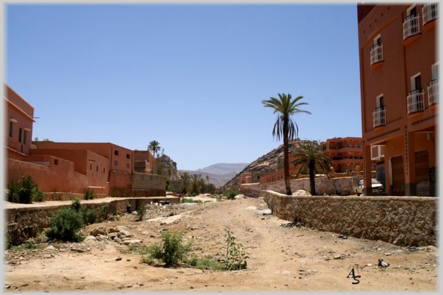 pict7343-a.jpg