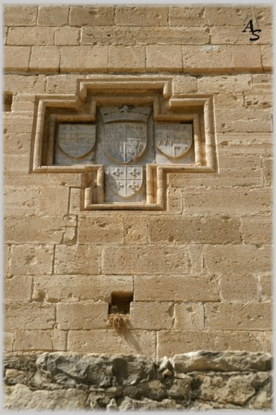 pict1193-a.jpg