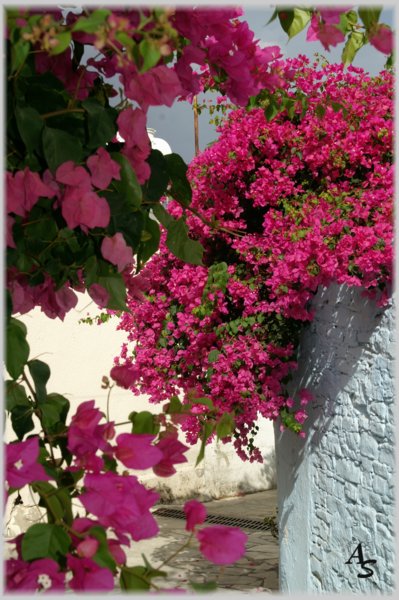 pict1430-a.jpg