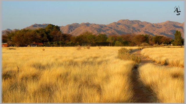 Namibia 2012, Solitaire