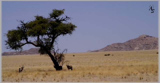 Namibia 2012