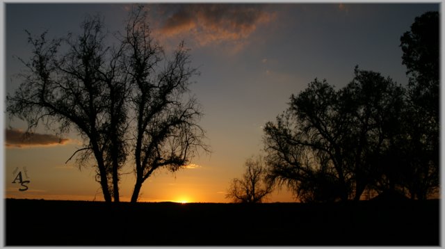 Namibia 2012, Auas Game Lodge