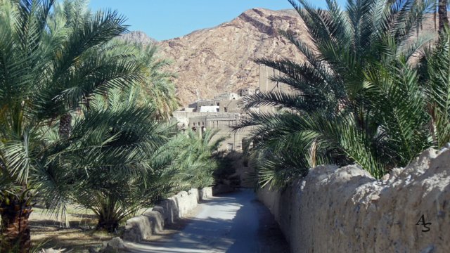 Urlaub 2013 Emirate und Oman