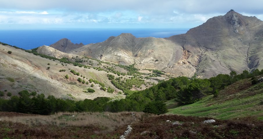 Madeira 2015 