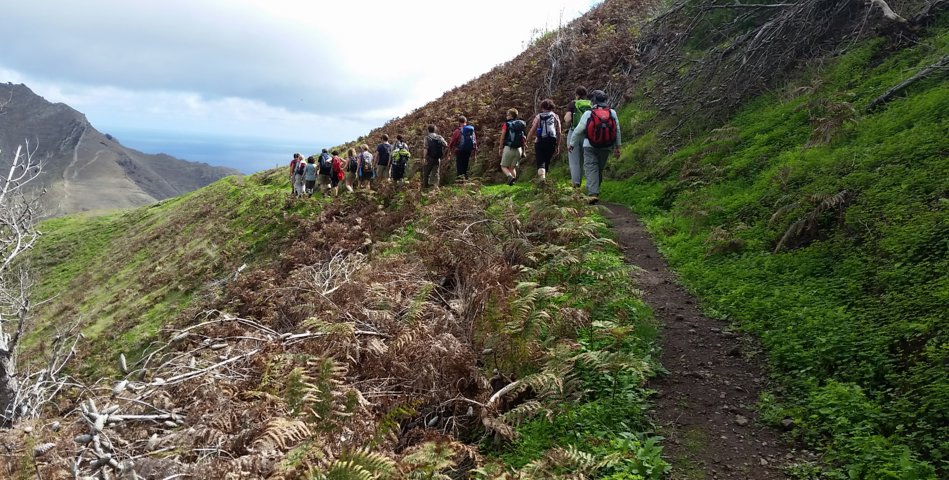 Madeira 2015 