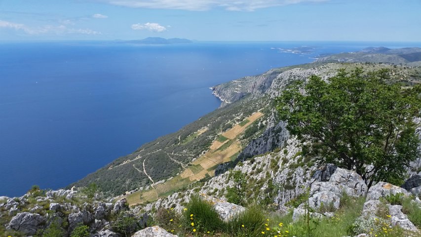 20160516_113541-a.jpg