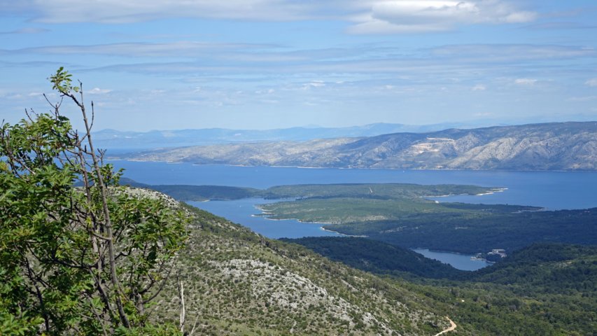 dsc00605-a.jpg