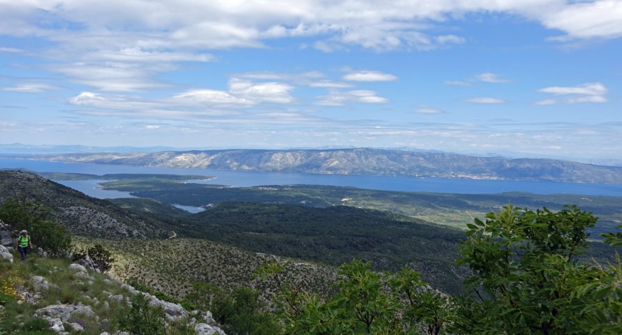 dsc00612-a.jpg