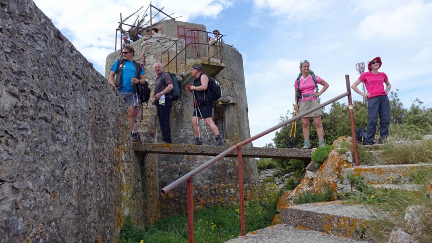 dsc00650-a.jpg