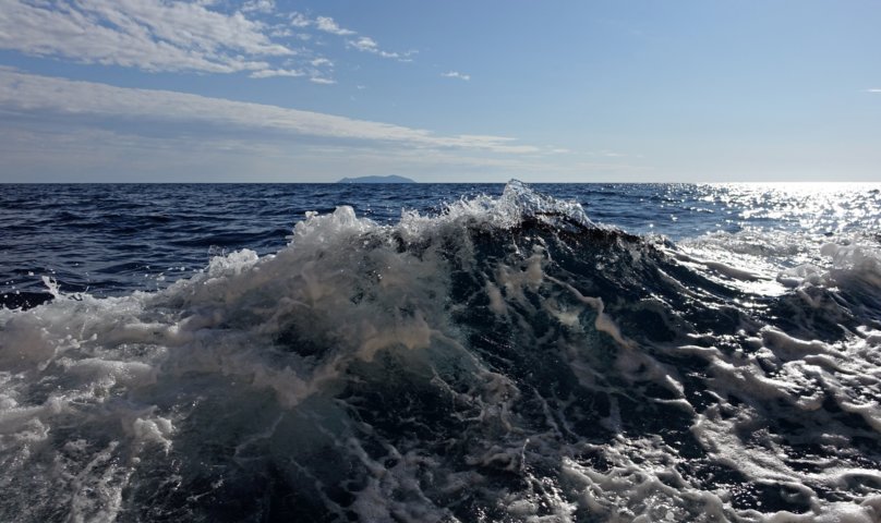 dsc00682-a.jpg