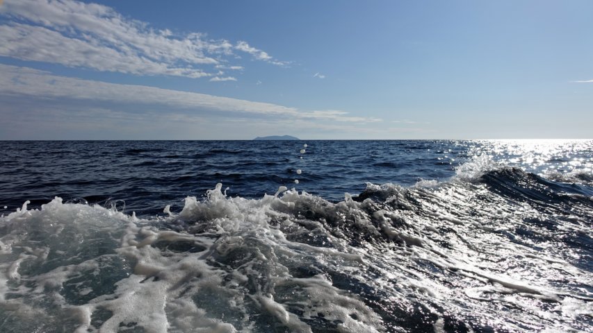 dsc00686-a.jpg