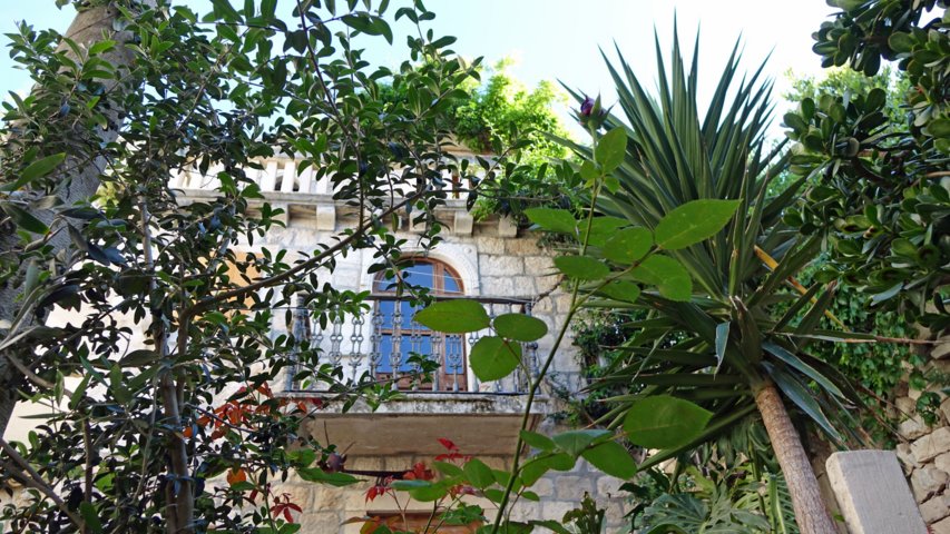 dsc00743-a.jpg