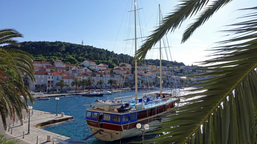 dsc00761-a.jpg