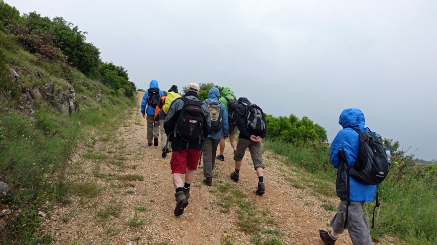 dsc00795-a.jpg