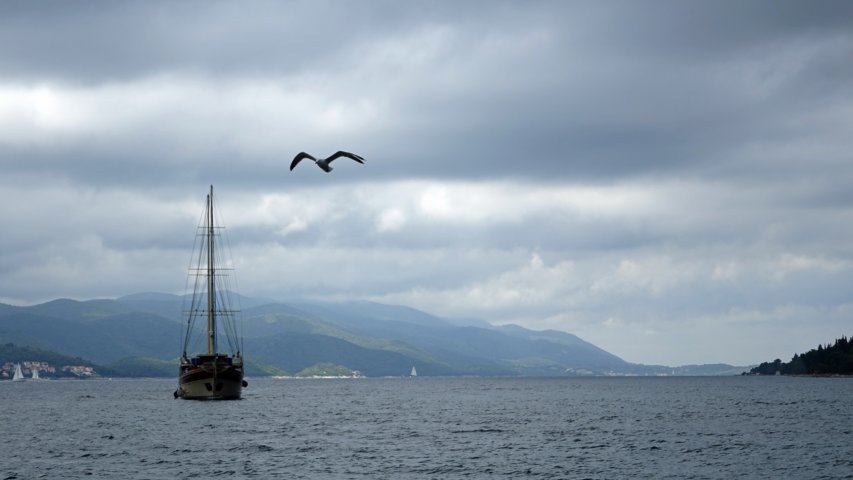 dsc00821-a.jpg