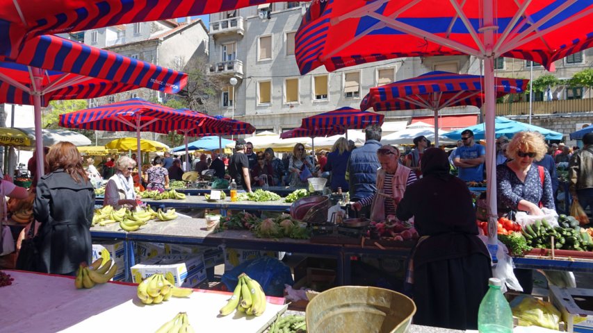 dsc00881-a.jpg