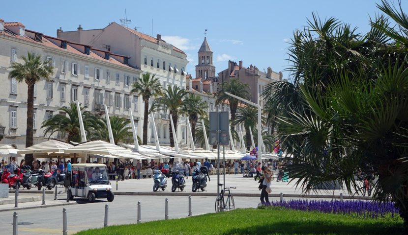 dsc00897-a.jpg