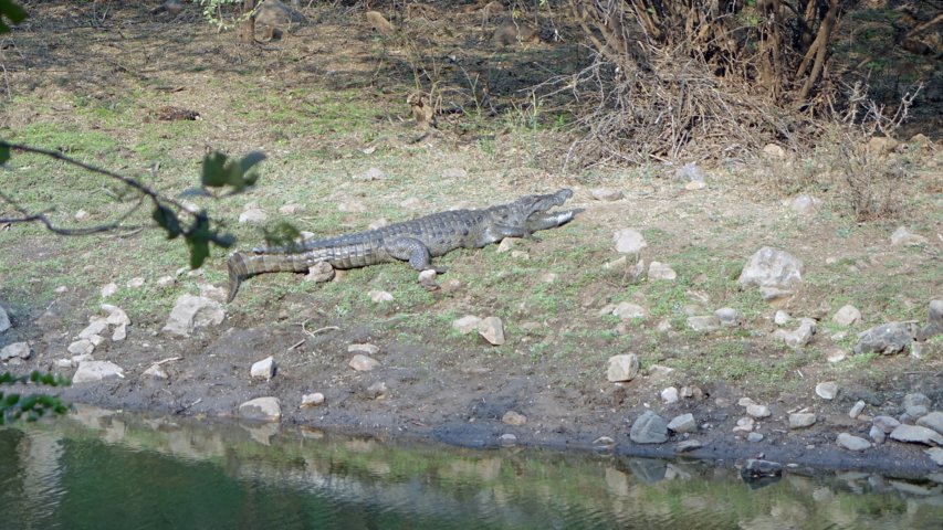 dsc01837-a.jpg