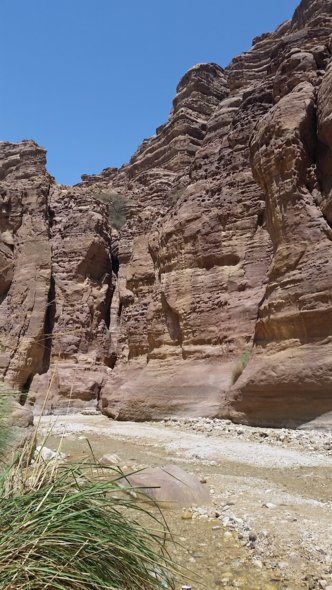 20180416_124350-as.jpg