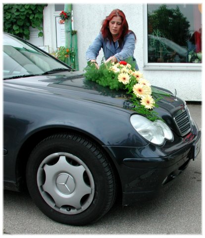 Hochzeit Steffi und Thomas